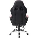 Silla Gamer Ergonomica Nextep Dragón XT Falkor Hasta 125Kg