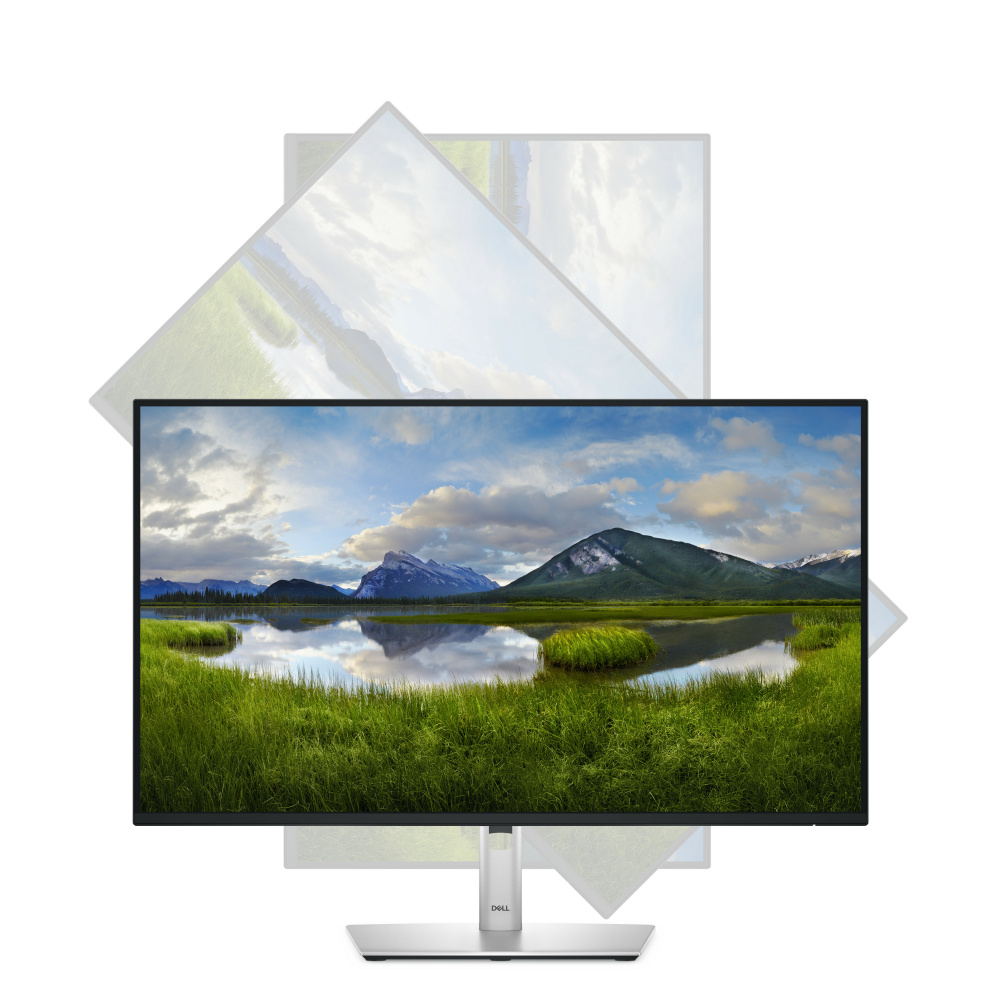 Monitor Dell P2725H LED 27" Full HD 100Hz HDMI