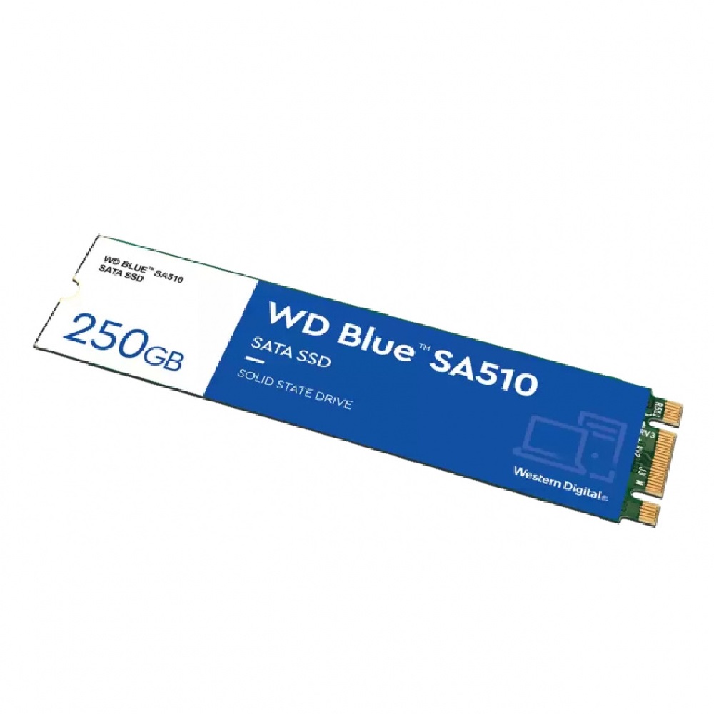 Unidad De Estado Solido SSD Western Digital Blue SA510 250GB SATA III M.2 