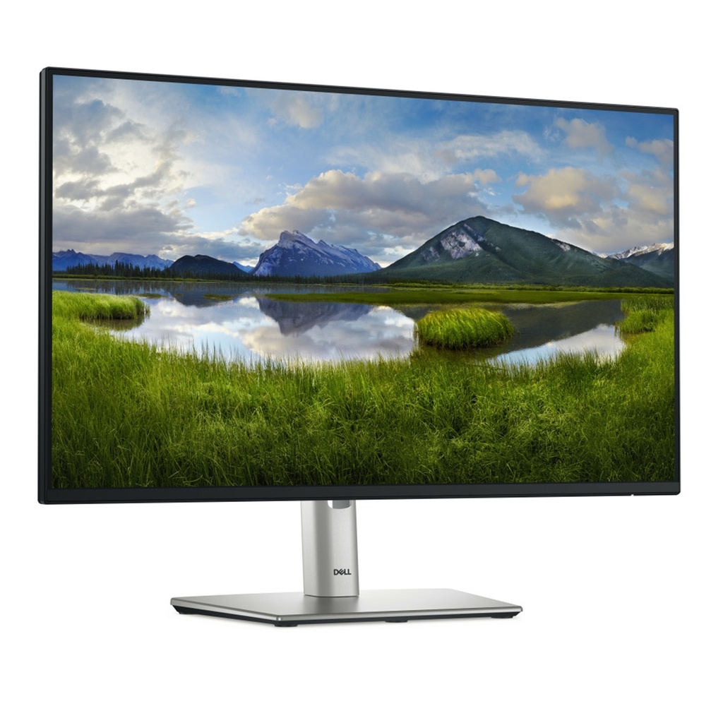 Monitor Dell P2425H LCD 24" Full HD 100Hz HDMI DisplayPort