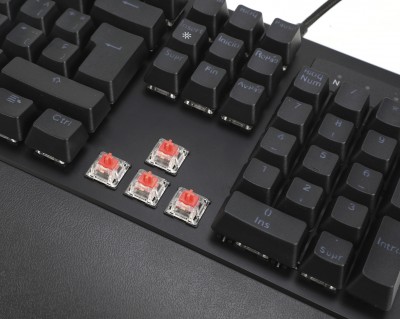 Teclado Mecánico Black Cobra Naceb NA-0944 USB