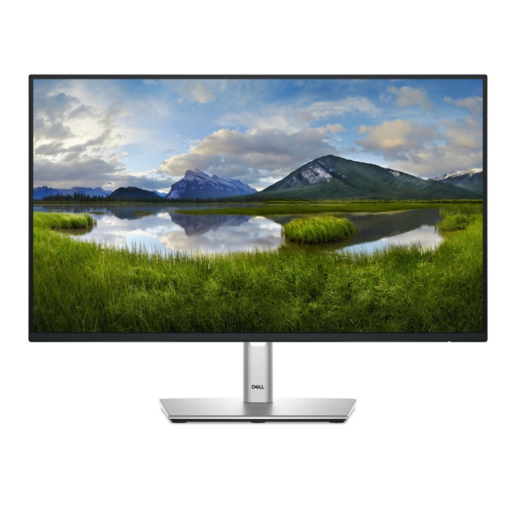 Monitor Dell P2425H LED 23.8" Full HD 100Hz HDMI DisplayPort