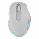 Mouse Ergonómico Perfect Choice Lumiere Pro Inalámbrico USB-C 1600DPI