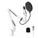 Micrófono Para Streaming Con Condensador Yeyian Agile Soporte De Brazo Retráctil 80Hz-20KHz USB